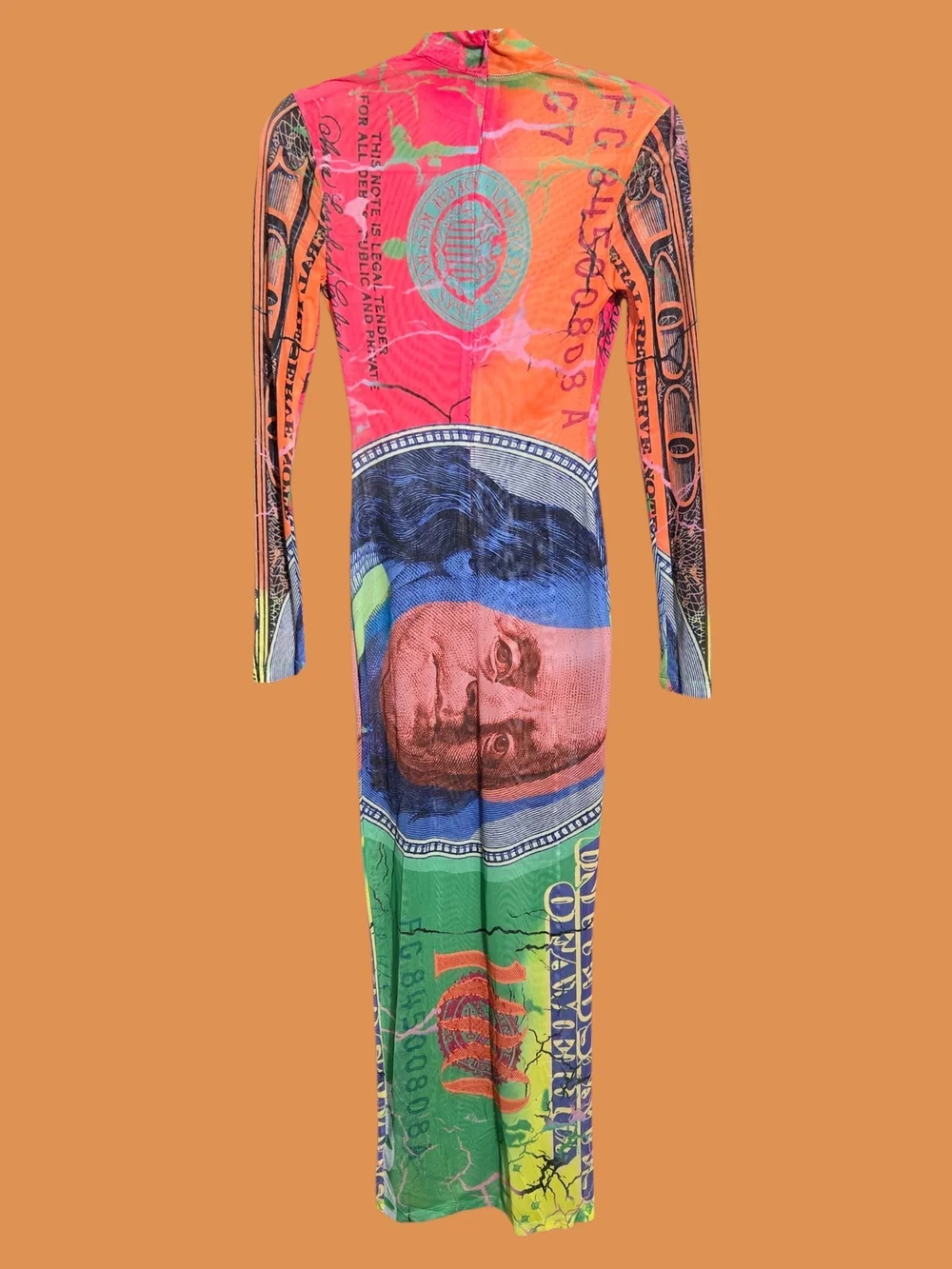 Colorful Money Mesh Maxi Dress - Picture 2 of 2